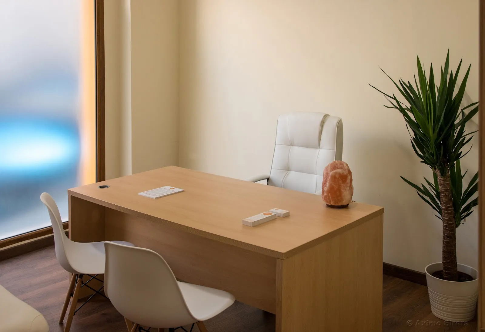 Daya Yoga Y Bienestar — yoga-studio en Xàtiva — 4