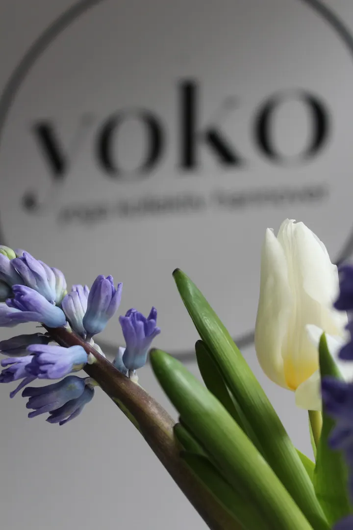 yoga kollektiv hannover — Yoga in Südstadt, Hannover
