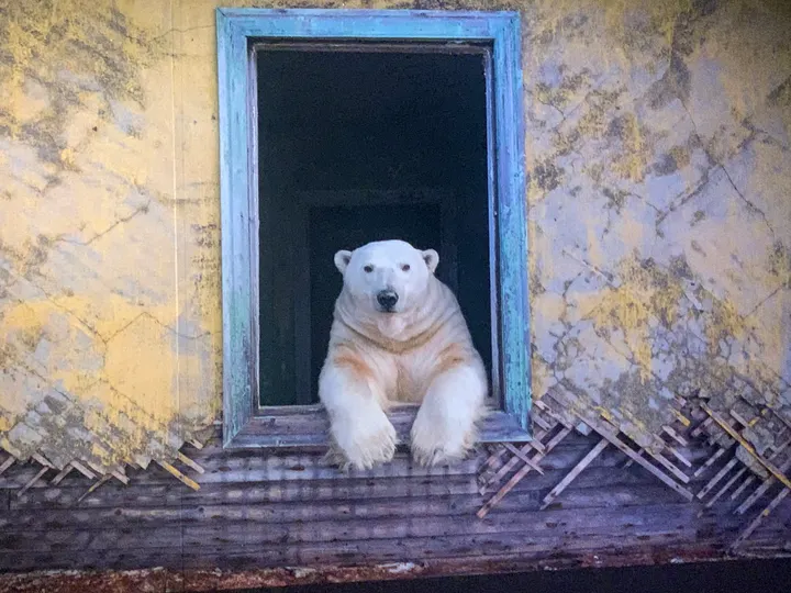 Jana Krychtalkova — meditation-studio in Aldrington, Brighton — 2