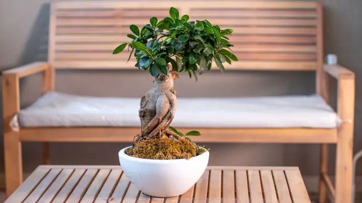 Grandma's Pilates Secret garden — pilates-studio a Palermo — 3