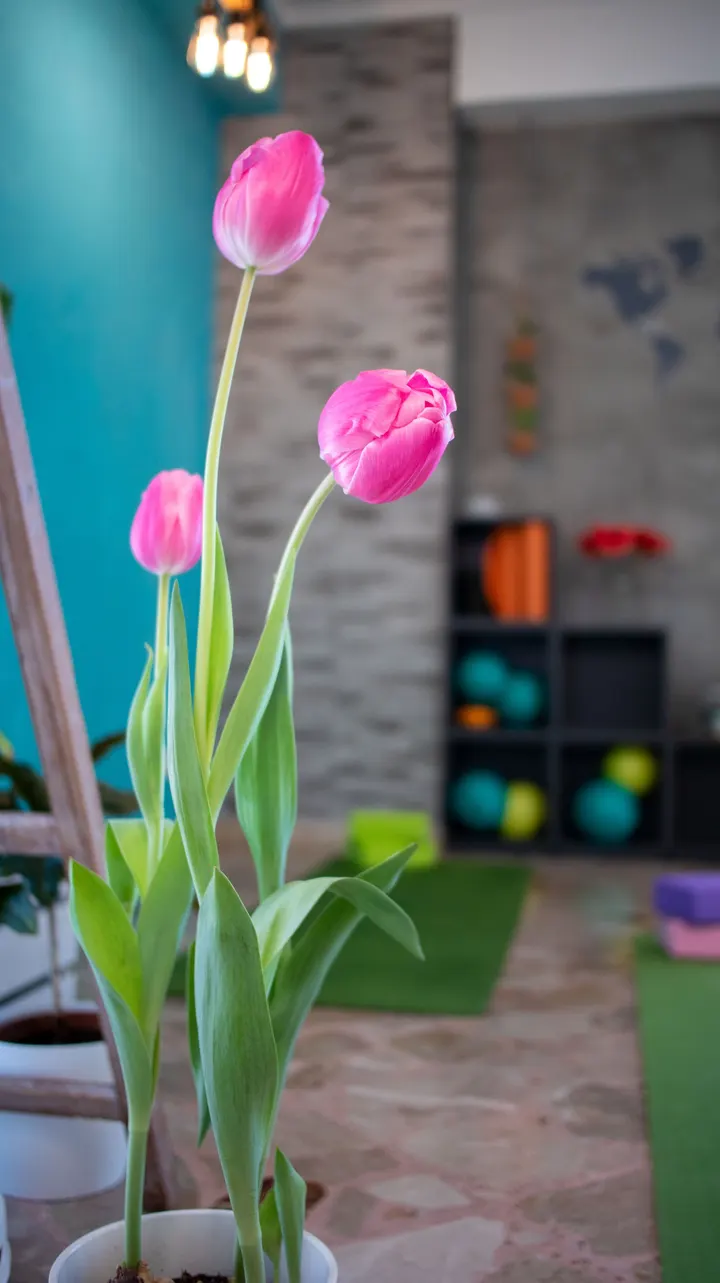 Grandma's Pilates Secret garden — pilates-studio a Palermo — 4