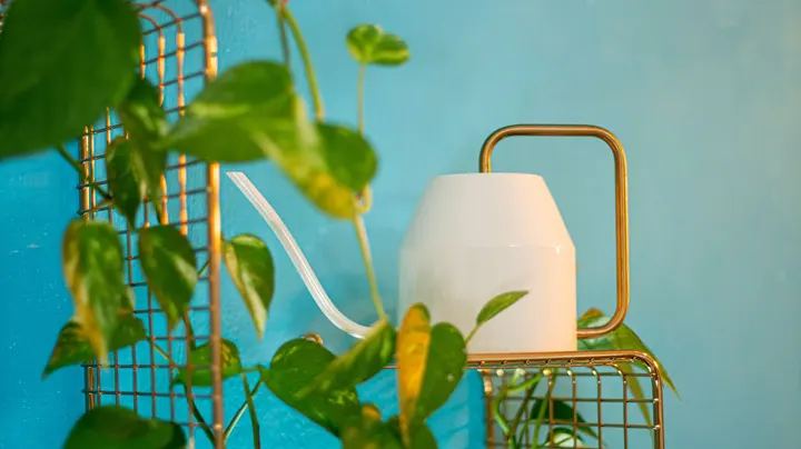 Grandma's Pilates Secret garden — pilates-studio a Palermo — 5