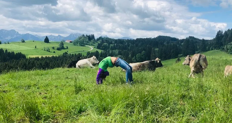 Freiraum Yoga & Gesundheitsstudio - Schongau — yoga-studio i München — 2