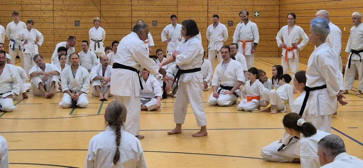 KJB-Joensuu — kamppailulajit-studio – Kanervala, Joensuu — 2