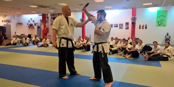 Club de Artes Marciales KokoroSD — artes marciales-studio en Sevilla Este, Sevilla — 3