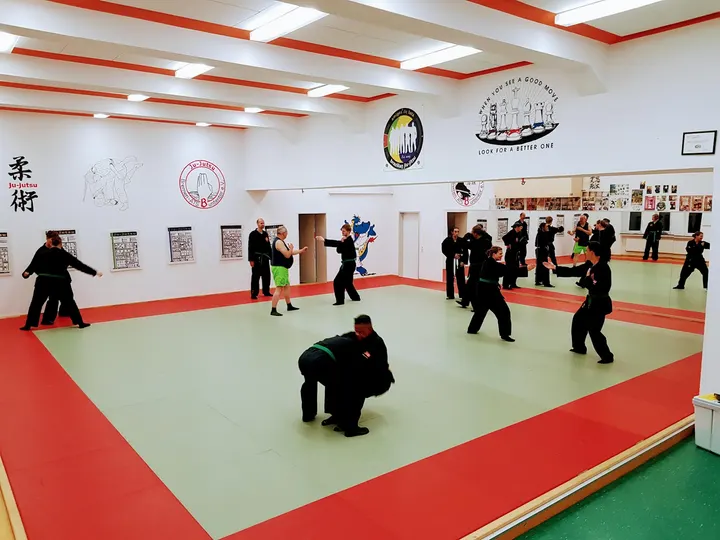Ninjutsu Europa Federation — kampfsport-studio in Bremen — 3