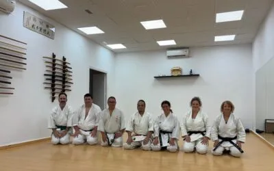 Dojo Inyo Tai — kampsport-studio i Sevilla — bild 3