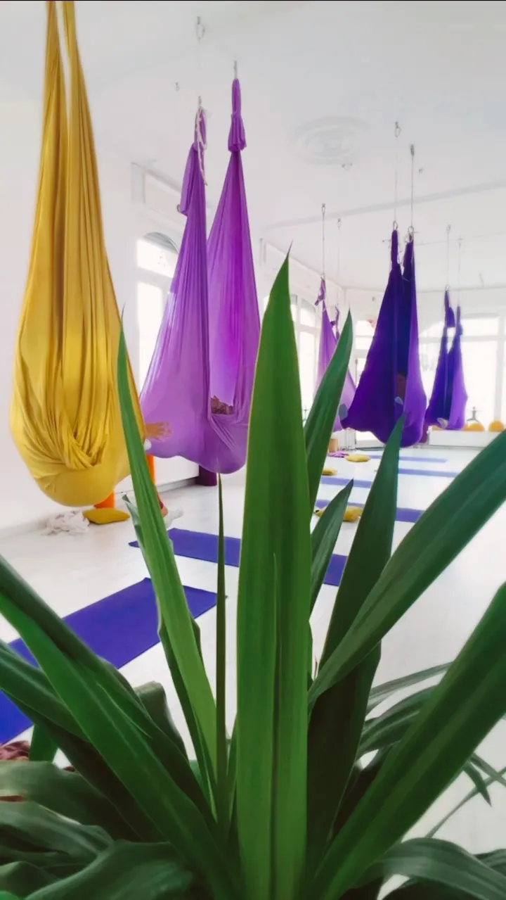 Velvet Yoga — yoga-studio à Metz — 3