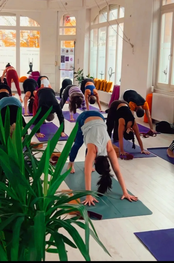 Velvet Yoga — yoga-studio à Metz — 4
