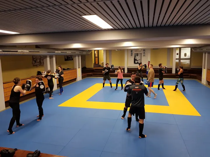 Hatori Kyokushin Dojo e.V. — kampfsport-studio in Röthenbach an der Pegnitz — 2