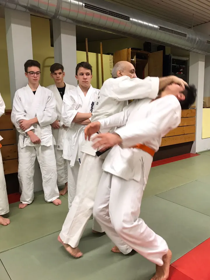 Hatori Kyokushin Dojo e.V. — kampfsport-studio in Röthenbach an der Pegnitz — 4