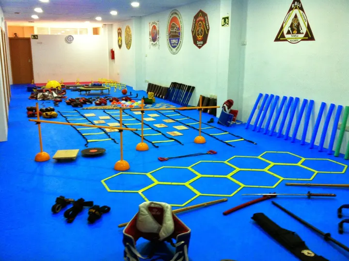 Academia Artes Marciales Templo Alicante — Artes marciales en la Florida Baixa, Alicante