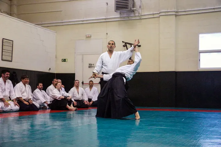 Cesarulaguna — artes marciales-studio en La Piterita, La Laguna — 3