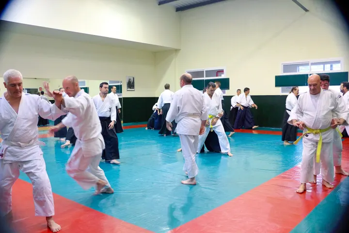 Cesarulaguna — Artes marciales en La Piterita, La Laguna