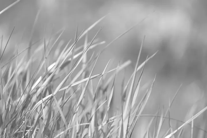Nature Sports & Events — bootcamp-studio in Maastricht — 4