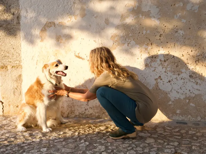 Living Room - the art of being alive — Meditación en Son Espanyolet, Palma