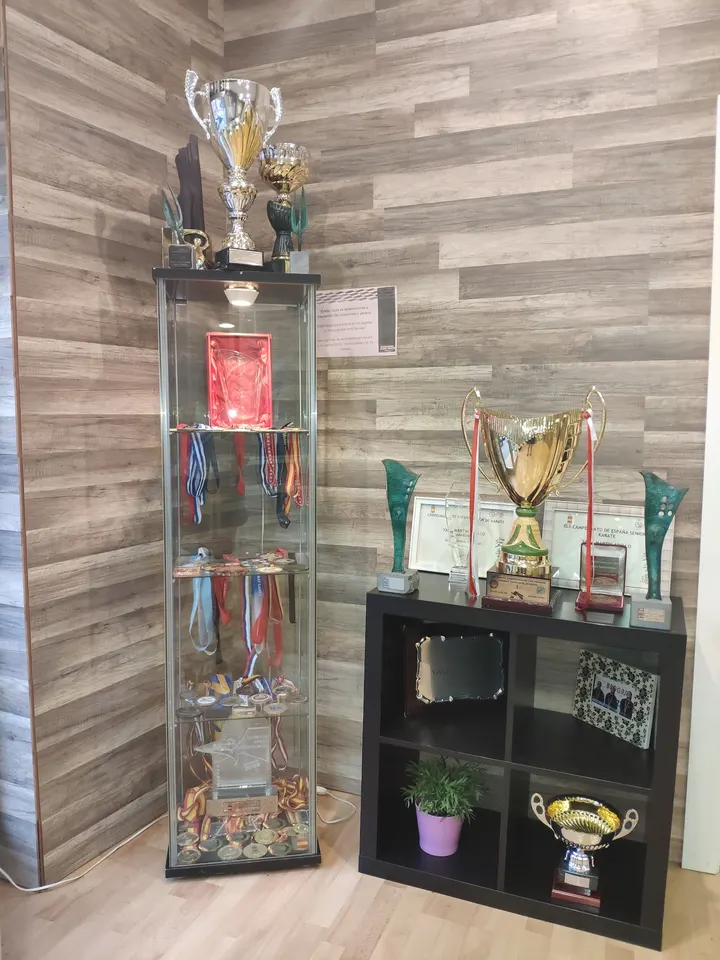 Gimnasio Shuriyama — artes marciales-studio en Zaragoza — 4