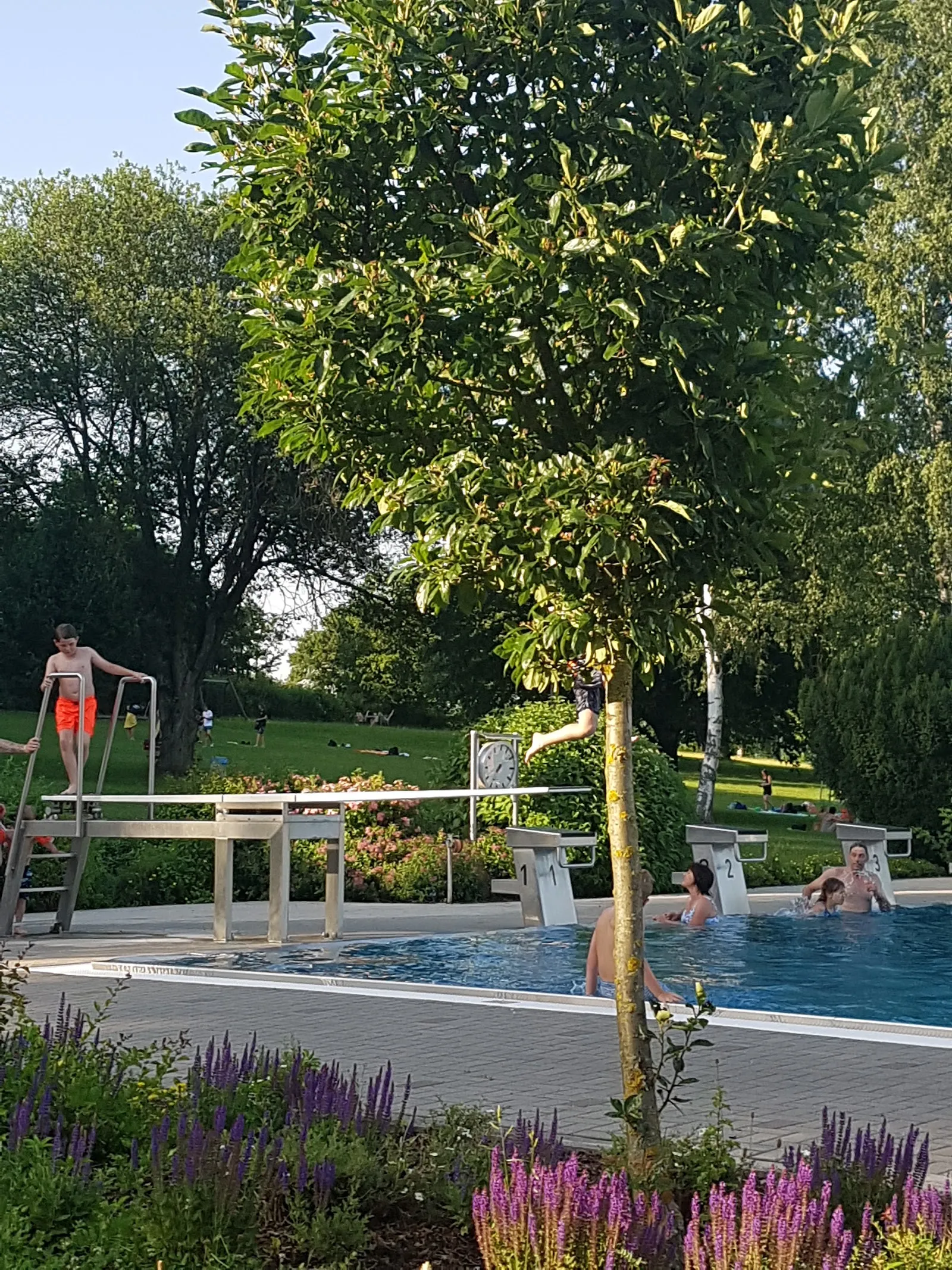 Waldfreibad Bergertshofen — studio in Kreßberg — 4