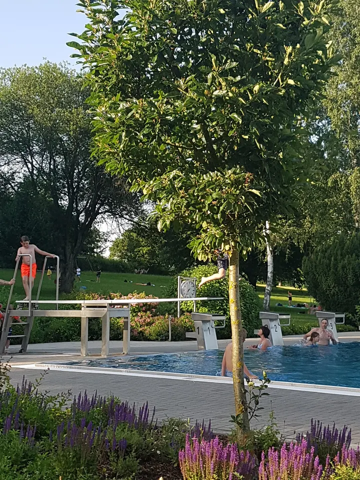 Waldfreibad Bergertshofen — studio in Kreßberg — 4
