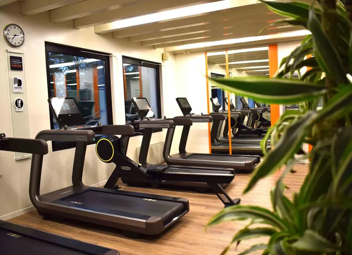 Show Club Palestre — Personal training a Madonna Pellegrina, Padova