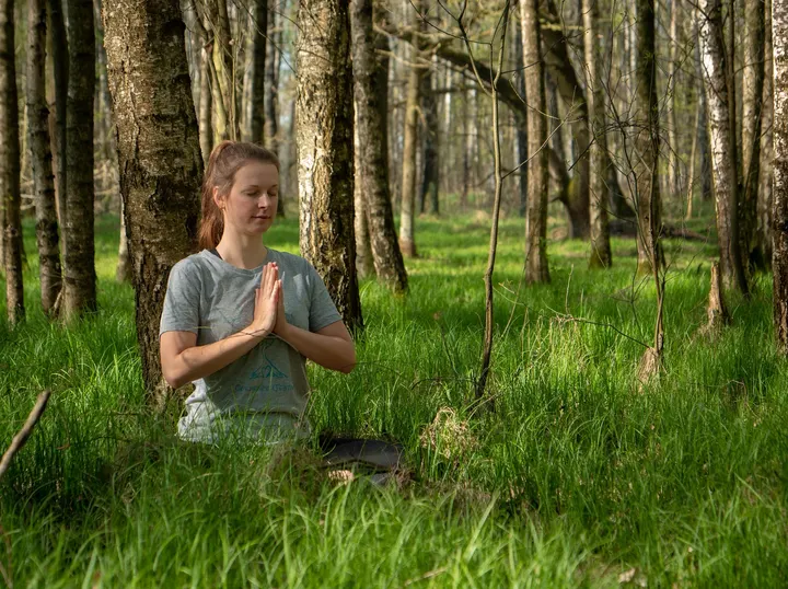 Waldyoga | Waldbaden in Dresden (Anja Brodersen) — yoga-studio in Albertstadt, Dresden — 2