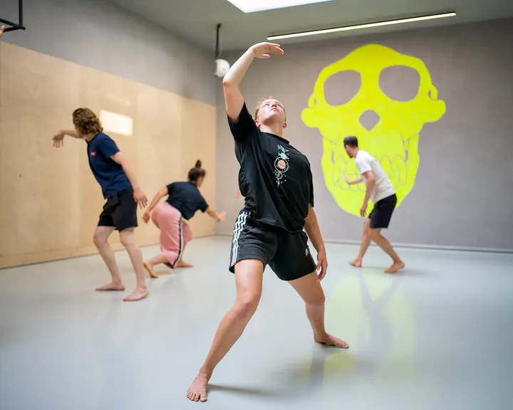 Crazy Monkey Movement Amsterdam — dans-studio in Amsterdam — 4