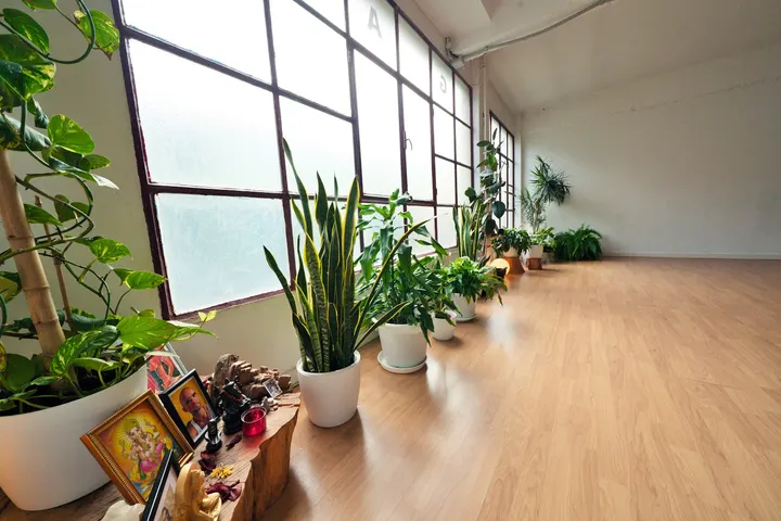 Namaste Yoga Bilbao — yoga-studio en Abando, Bilbao — 2