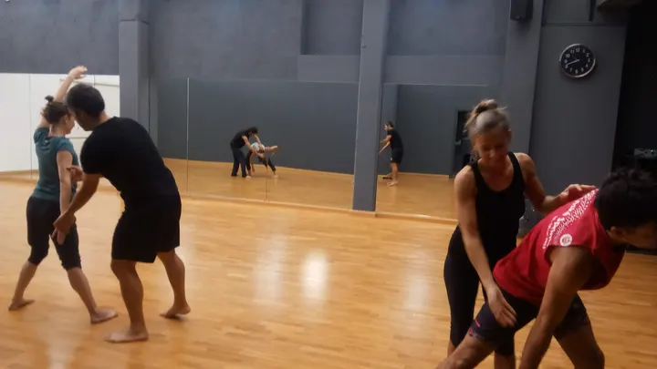 Projecte Dansa — baile-studio en Sant Pau de la Calçada, Figueres — 3