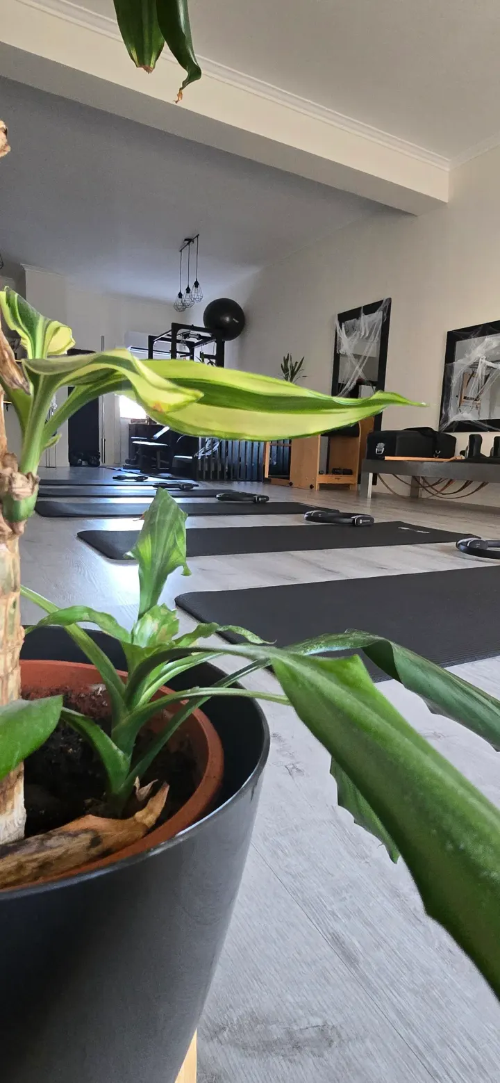 Kaos Pilates & Wellness — pilates-studio em Vale das Flores, Coimbra — 3