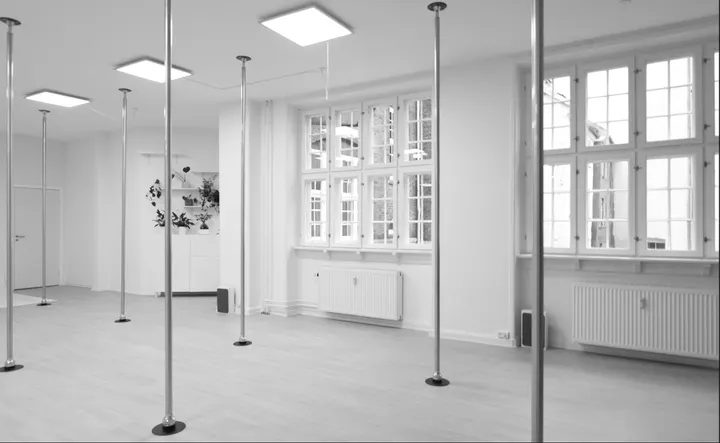 Nordic Pole — dans-studio i Indre By, København — 2