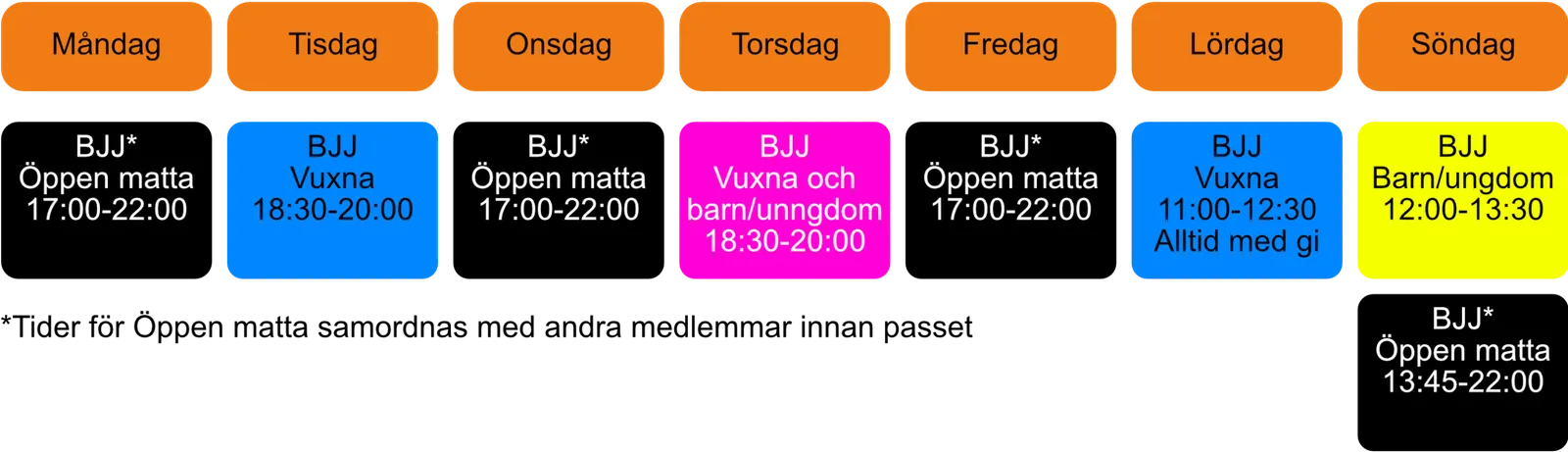 Team Tumba Bjj — kampsport-studio i Tumba — bild 2