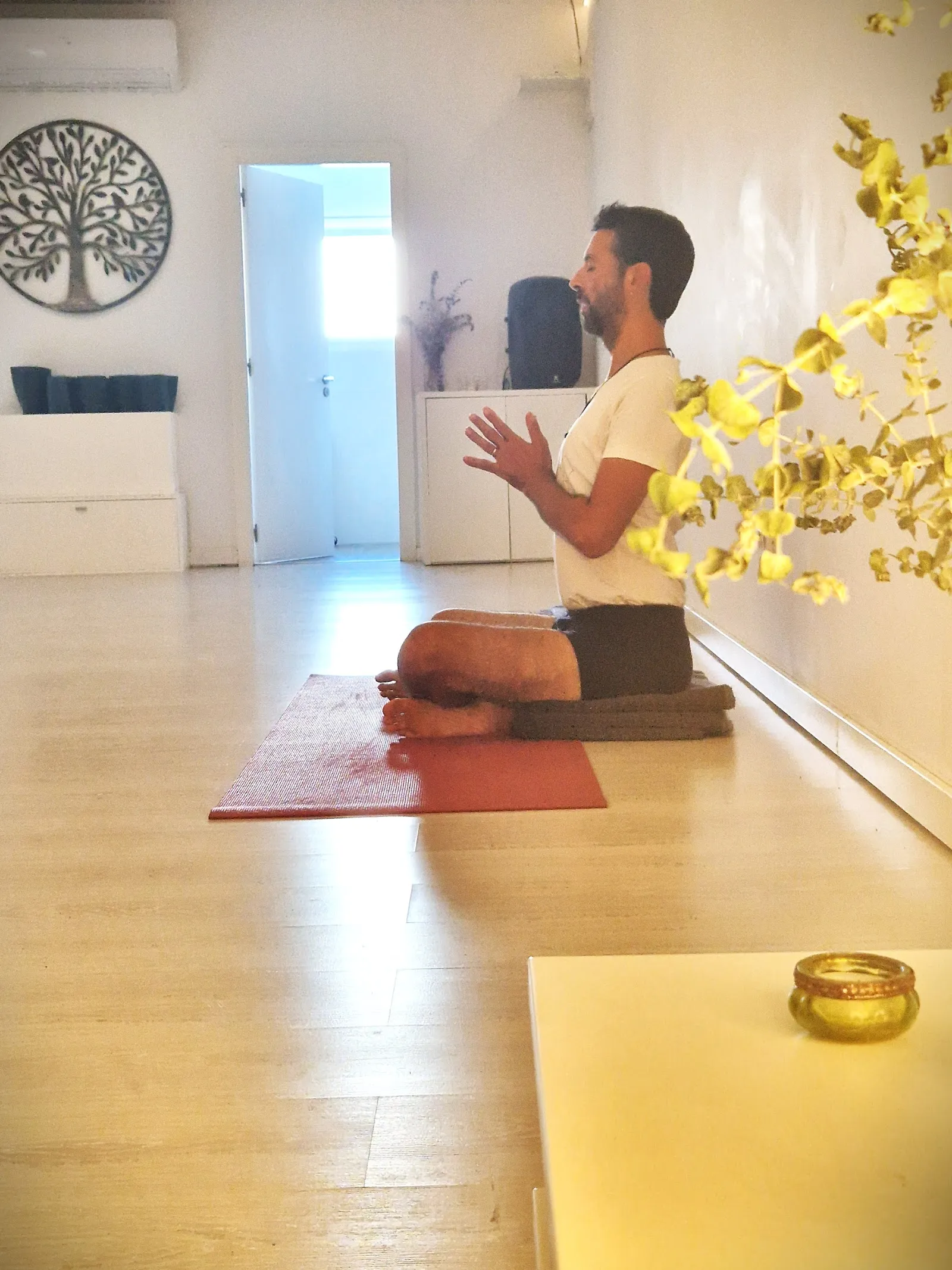 La Casa De L'anima, Centre De Ioga, Dança I Teràpies. — yoga-studio en La Garriga — 4