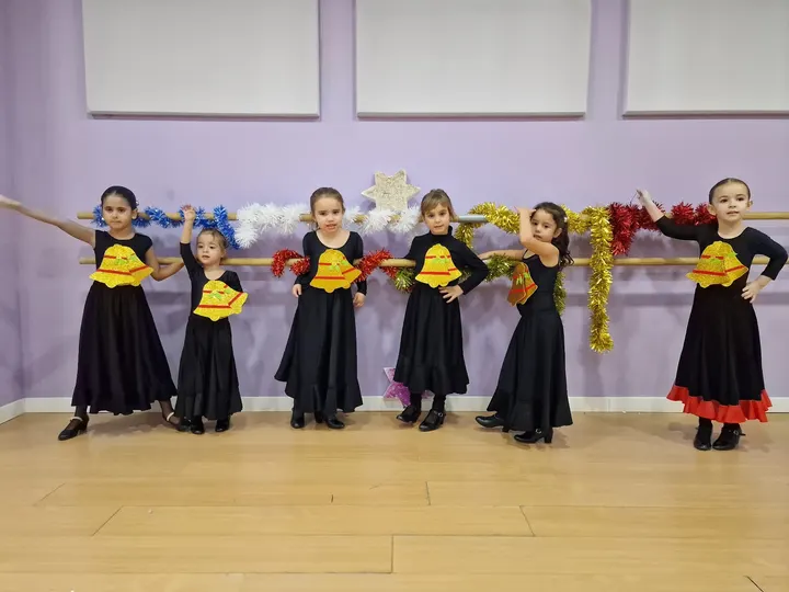 Centro DanzAran - Alicante — baile-studio en el Pla del Bon Repòs, Alicante — 2