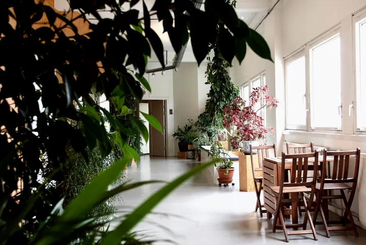 Berit Hass Olesen Manuvision Kropsterapi og Yoga — yoga-studio i København — 5