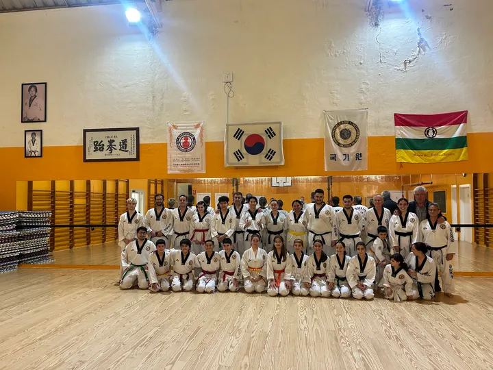 Gimnasio de Taekwondo Club Kim Logroño — Artes marciales en Madre de Dios, Logroño