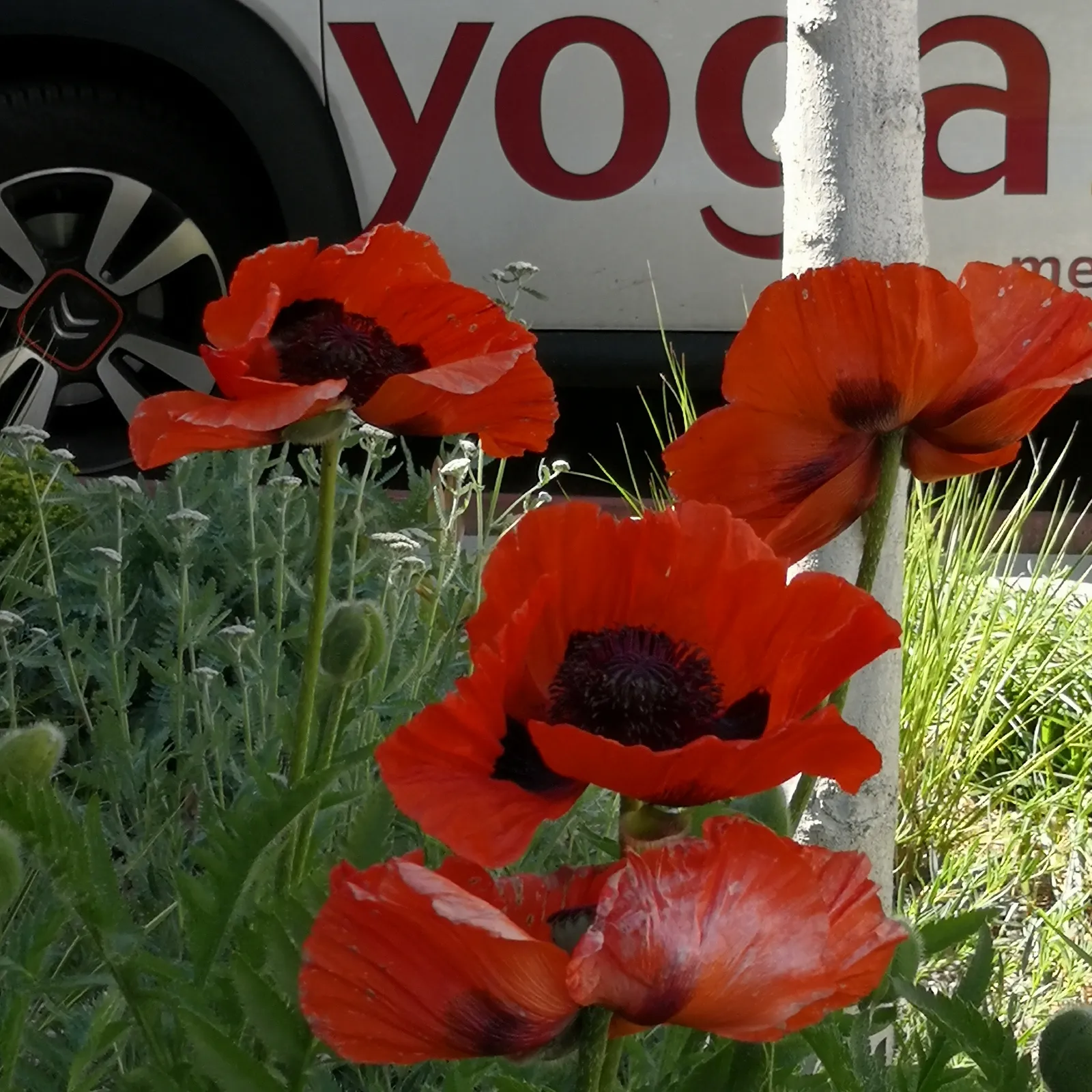 Yogazeit — yoga-studio i Stuttgart — 4