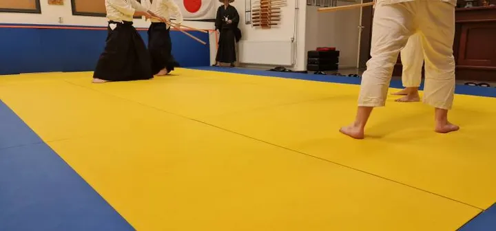 Kagami no chikara — vechtsport-studio in Sneek — 2