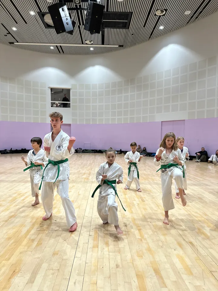 Karateklubben Jundokan København — kampsport-studio i Kødbyen, København — 3