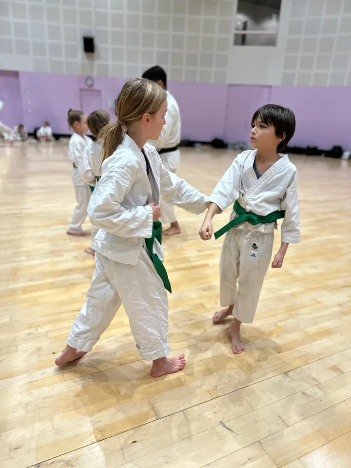 Karateklubben Jundokan København — martial arts-studio i Kødbyen, København