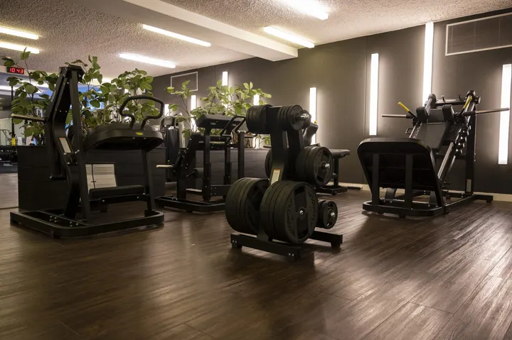 Fitness Zuiver — Herstel in Amsterdam