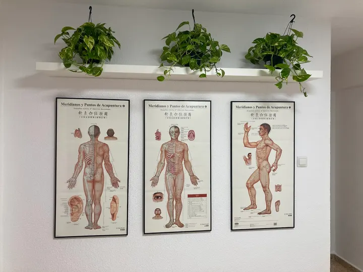 TAIBAI Medicina Tradicional China — wellness-studio en Fuencarral, Madrid — 2