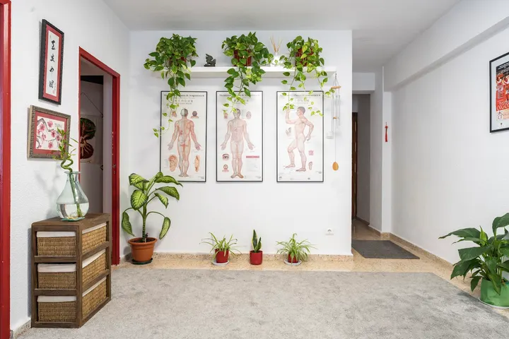 TAIBAI Medicina Tradicional China — wellness-studio en Madrid — 3