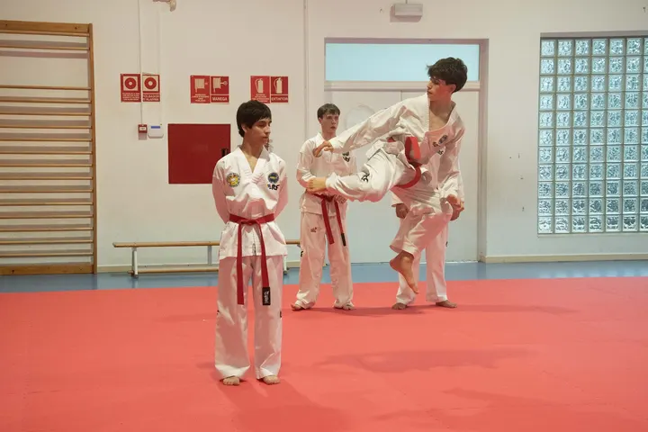Asociación Balear de Taekwondo — artes marciales-studio en Dalt Vila, Ibiza — 2
