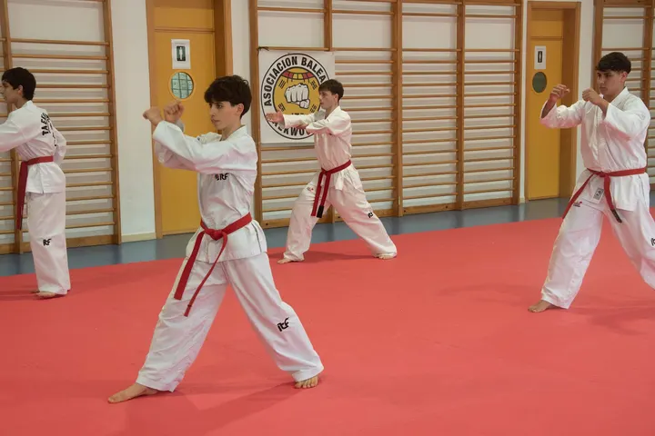 Asociación Balear de Taekwondo — artes marciales-studio en Dalt Vila, Ibiza — 3