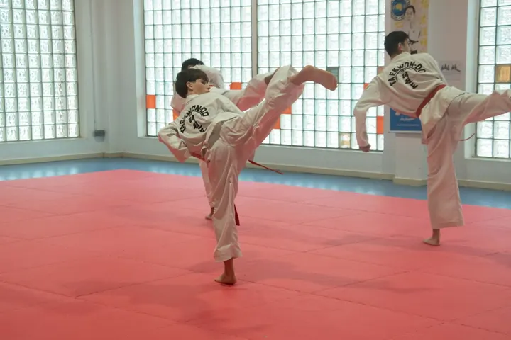 Asociación Balear de Taekwondo — Artes marciales en Dalt Vila, Eivissa