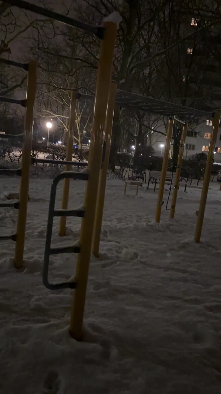 Sportanlage Calisthenics Park — calisthenics-studio in Märkisches Viertel, Berlin — 2