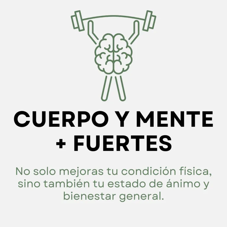 Tribu fitness Alcorcon — träningsstudio-studio i Alcorcón — bild 3