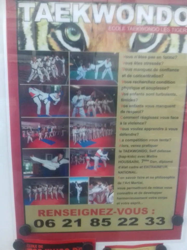 Association Ecole de Taekwondo les Tigers — arts martiaux-studio à Puech du Teil, Nîmes — 3