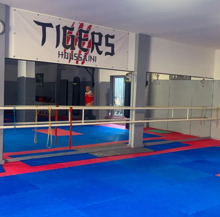 Association Ecole de Taekwondo les Tigers — arts martiaux-studio à Nîmes — 3