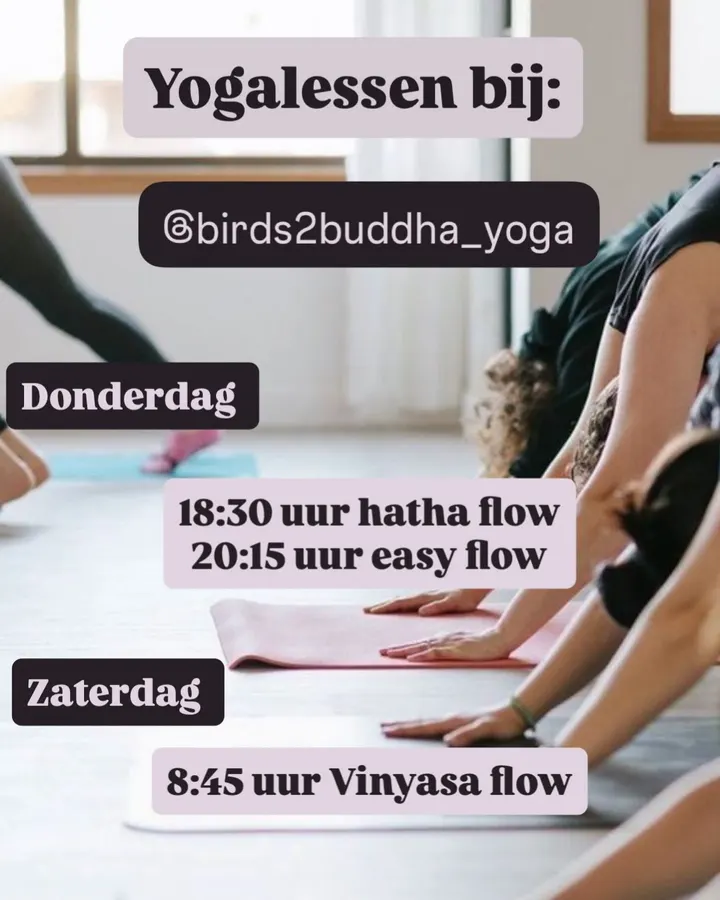 Birds2Buddha yoga Roosendaal — yoga-studio in Kroeven, Roosendaal — 2